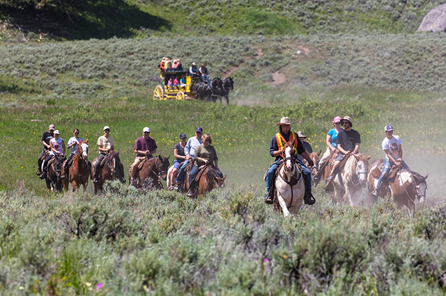 Horseback riding and stagecoach outing in Yellowstone National Park